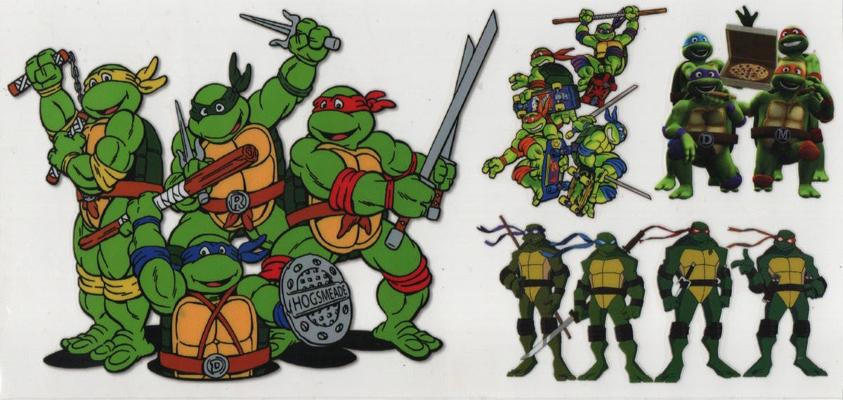 Ninja Turtle Wraps