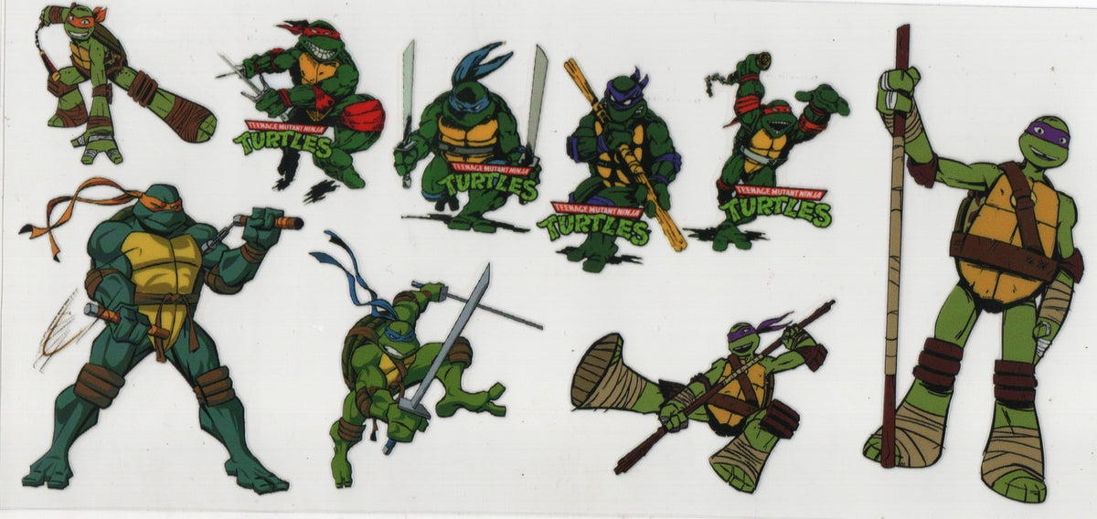 Ninja Turtle Wraps