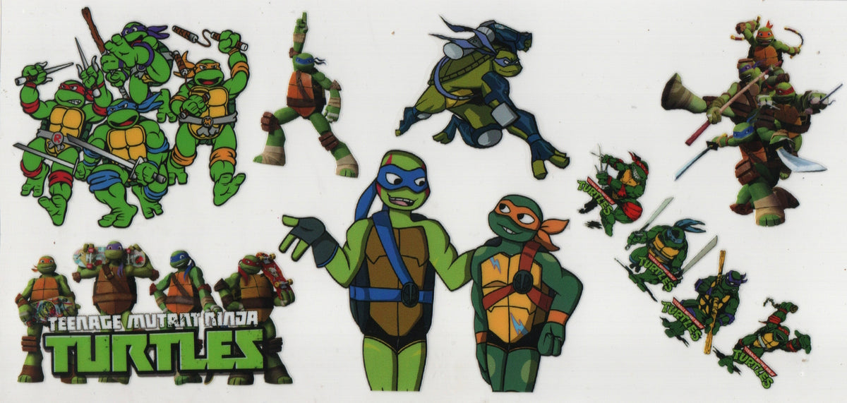 Ninja Turtle Wraps