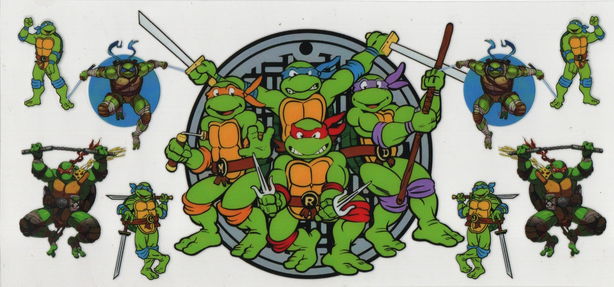 Ninja Turtle Wraps